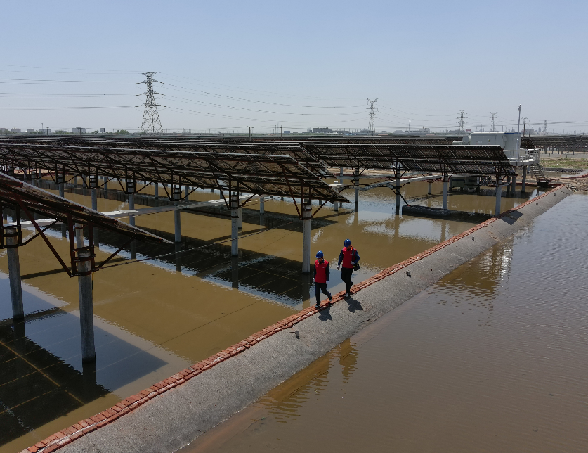 欧宝online（中国）省电线电缆行业欧宝online（中国）